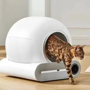 Smart Cat lettiera completamente automatica di grande capacità lettiera per gatti Semi-chiusa Smart Cat Toilet APP telecomando 1