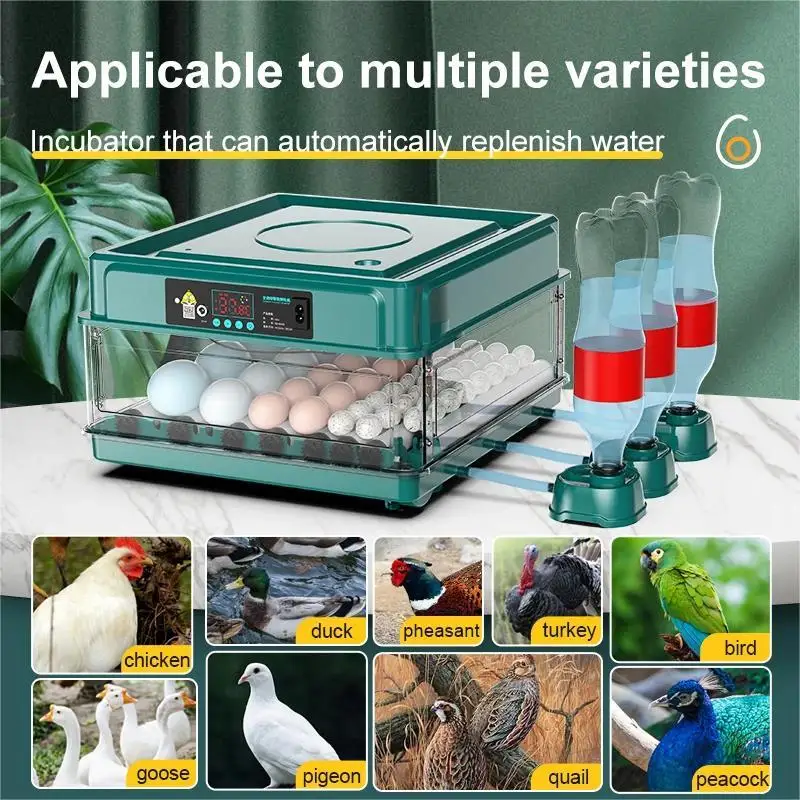 Incubatrice per 9/15/24/36 Uova con Cassetto, Sistema Automatico di Rifornimento dell'Acqua Ionica e Controllo della Temperatura 2