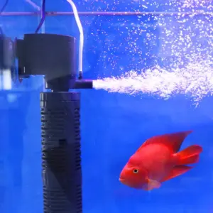 Filtro Interno 3 in 1 per Acquario, Purificatore d'Acqua Silenzioso, Pompa d'Aria Sommergibile, Accessori per Acquario 1