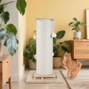Tiragraffi per Gatti con Palla Sospesa, Tavola per Tirare e Arrampicarsi, Base Stabilizzata e Allargata 60cm/80cm 2