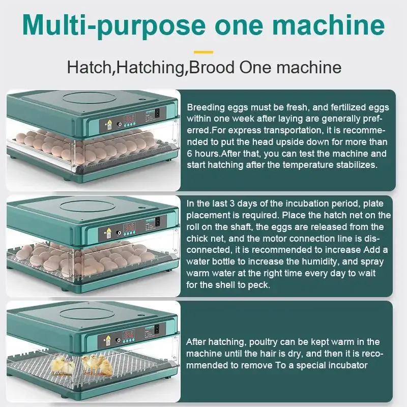 Incubatrice per 9/15/24/36 Uova con Cassetto, Sistema Automatico di Rifornimento dell'Acqua Ionica e Controllo della Temperatura 6