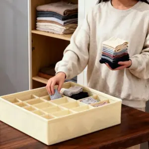 Armadietto Organizzatore di biancheria intima Cassetto Scatole per organizer per vestiti Organizzatore per armadio per biancheria intima Reggiseno Calzini Mutande Organizzatore di stoccaggio 1